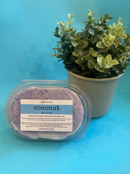 Coconut Soap Sponge